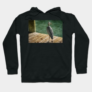 Dock of the Bay Hoodie